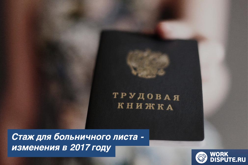 женщина держит трудовую книгу в руках