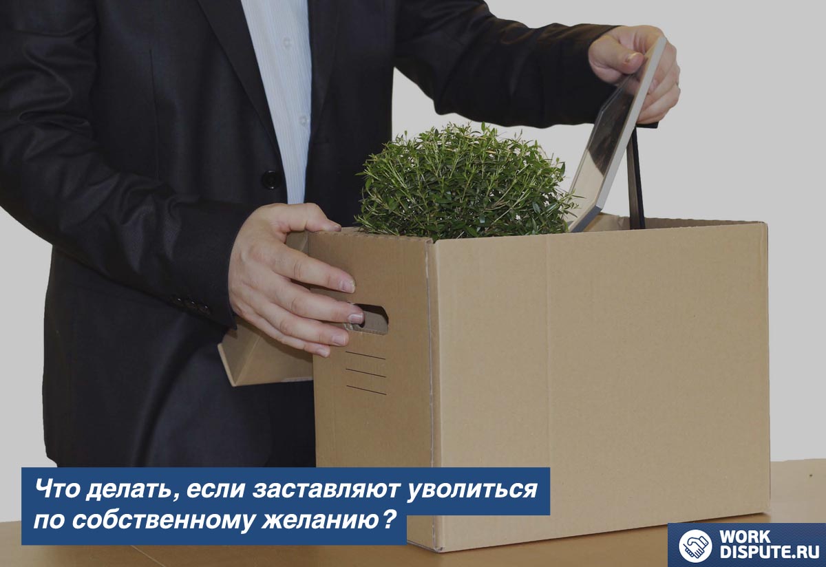 Что делать, если заставляют уволиться по собственному желанию