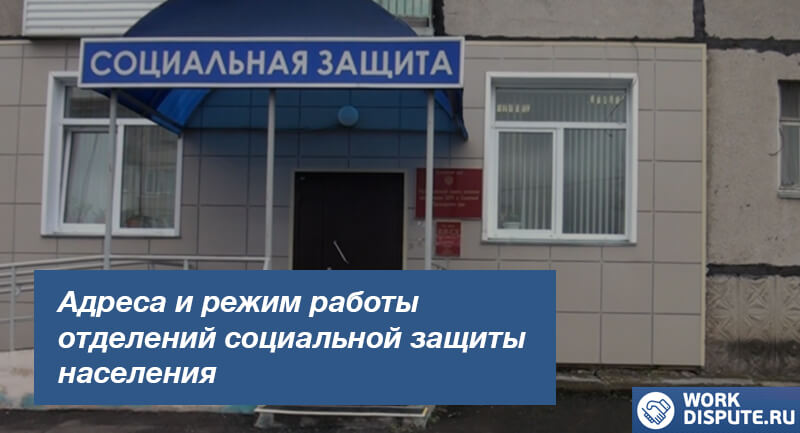 Социальная защита в Биробиджане и Еврейской АО: адреса, бесплатный телефон и часы работы